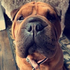 Meet your Posher, Caroline